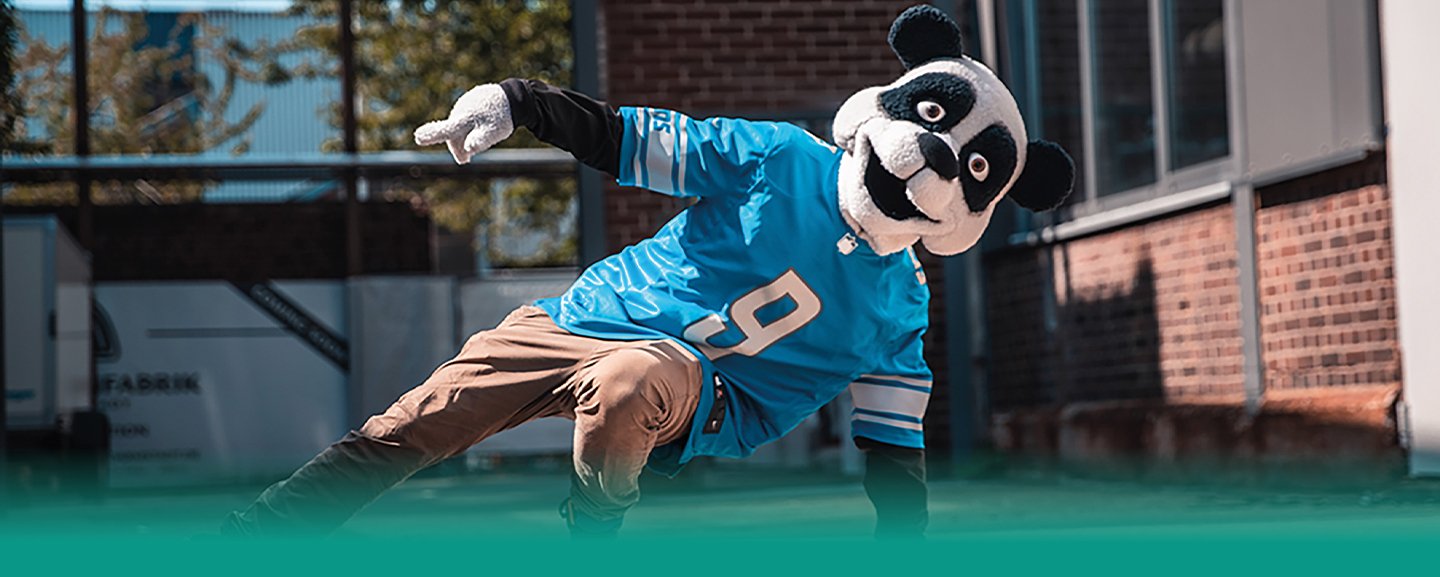 BeatBear_Banner_Fade